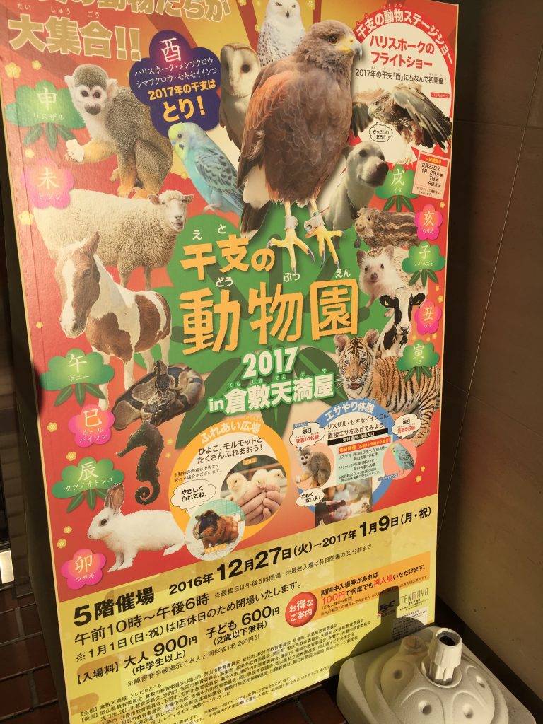 倉敷天満屋 干支の動物園 ハリスホークと十二支のゆかいな仲間たち