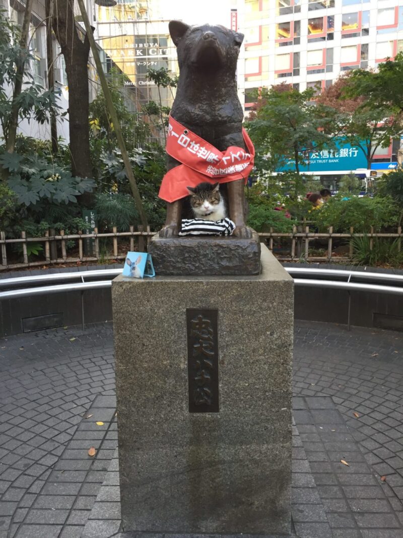 青山で髪を切って渋谷をブラつく！リアルマリオカート発見！