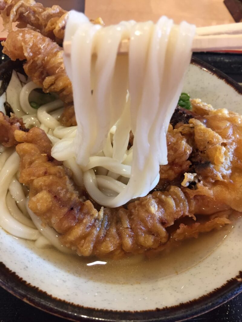 岡山伊福『セルフうどんさざなみZERO』名物のバカでかいゲソ天うどん！