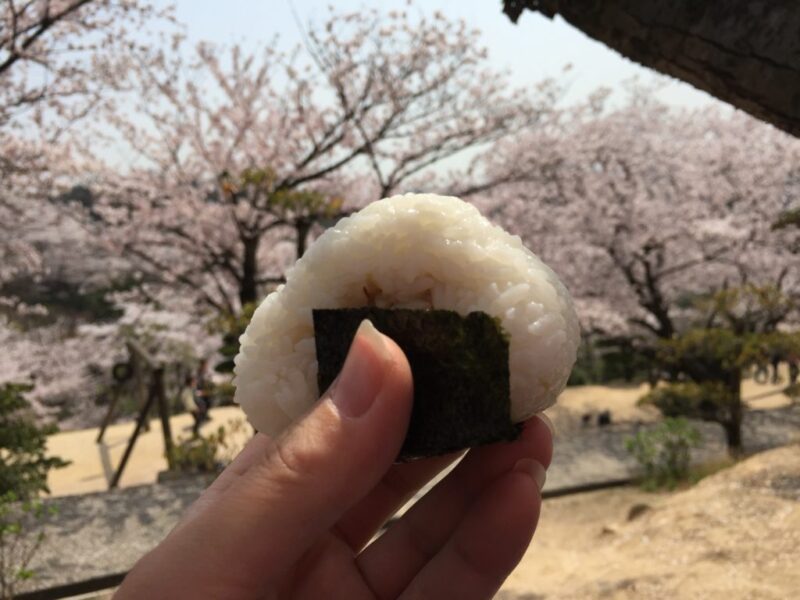 岡山倉敷桜の名所『種松山公園西園地』お花見して子どもの遊具で楽しむ！