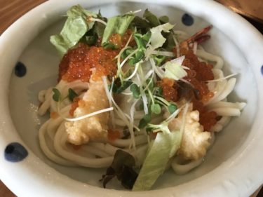 岡山牟佐『うどんよしだ』平日限定日替わりランチ和の箱とカレーうどん！