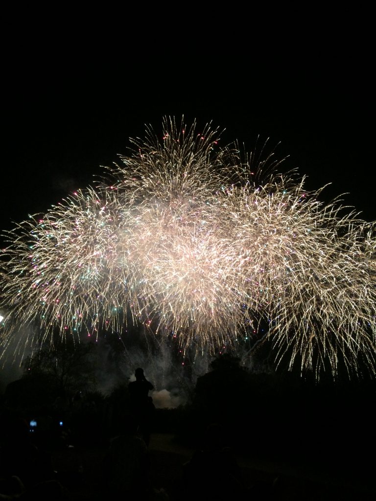 岡山県浅口市『あさくち花火大会』芝生に寝転がって見上げる花火は最高！