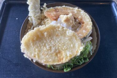 香川丸亀『おかだうどん』おか泉の冷天おろしをセルフでお得に頂ける！