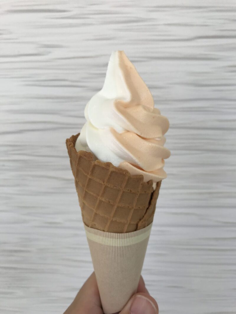 岡山総社『あいすの家』北海道産生乳の濃いミルクとメロンソフトクリーム！