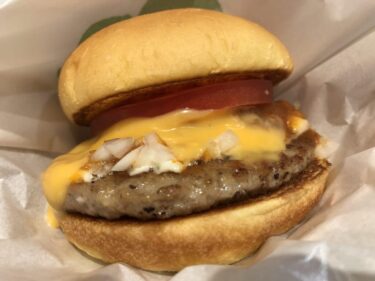 イオン倉敷『フレッシュネスバーガー』チーズバーガーとポテトでランチ！