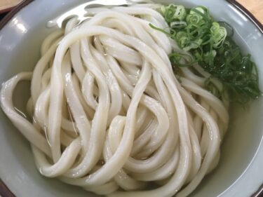 岡山奥田『うどん龍』うどん村の味を受け継いだぶっかけと鶏のから揚げ！