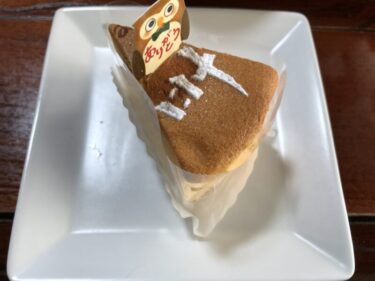 倉敷中庄『モアガーデン』シュークリーム３兄弟と夢が叶うチーズケーキ！