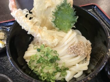 岡山西大寺『やす坊』蒜山高原のチーズ釜玉うどんと豆腐天ぷらぶっかけ！