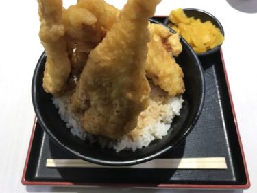 アリオ倉敷『鶏料理専門店鶏いち』天まで届きそうな天ぷらの鶏天丼ランチ！