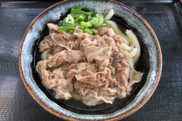 香川多度津『根ッ子うどん』冬は暖かいジャングルで太麺の肉うどん！