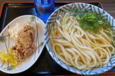 岡山豊成『キンボシ製麺所』うどん村独立で鶏から揚げタルタルソース無料！