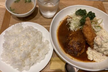 岡山市春日町『洋食キッチンかもめ』肉肉しいハンバーグと海老フライ！