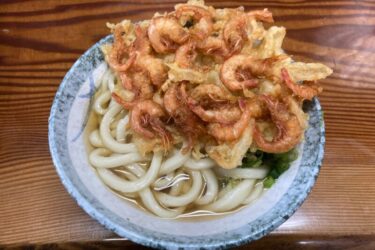 香川県『坂出山下うどん』製麺所のかけうどんと芝エビのかき揚げ天ぷら！