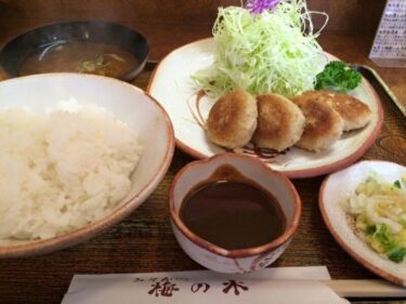 倉敷駅前『みそかつ梅の木』ミシュラン獲得の味噌カツとデミカツ定食！