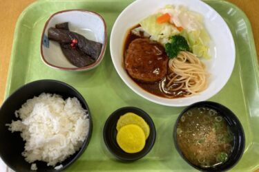 倉敷保健所『レストランほっとたいむ』日替わりランチでハンバーグ定食！