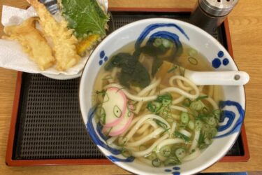 倉敷阿知『うどん志乃家』揚げたて海老天と大葉天の天ぷらうどんランチ！