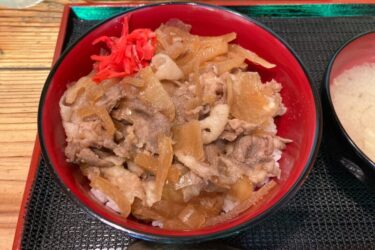 岡山市表町『ありがとう焼きうどん』味の染みた豚丼と味噌汁ランチ！