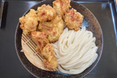 香川坂出『手打ちうどんかまや』大きな鶏天が６個も乗ったとり天ざる！