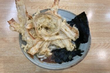 岡山奥田『うどん坂本』焼きアゴ出汁と有明海苔のごぼう天海苔うどん！