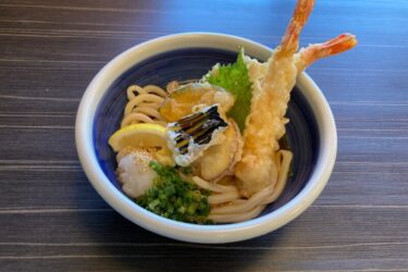 岡山倉敷『本格讃岐うどん瀬戸の香』大海老天ぶっかけとデミカツ丼ランチ！