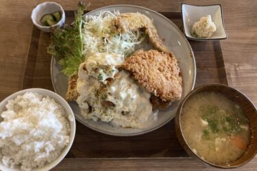 岡山学南町『サイ食堂』タルタルソースのアジフライとチキン南蛮ランチ！